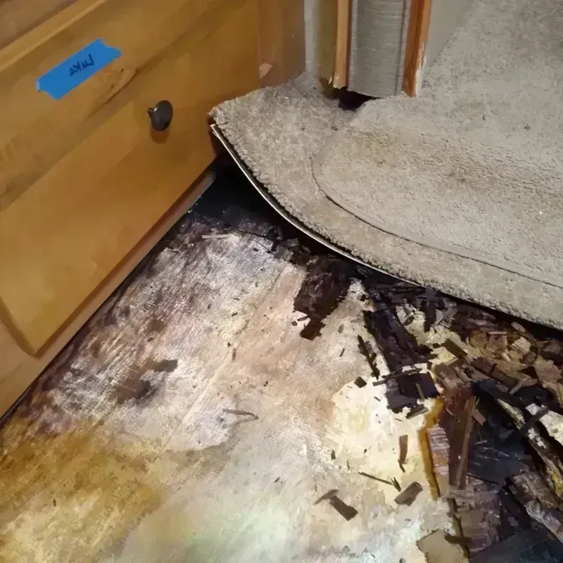 Best Wood Floor Water Damage Service in Brewster, OH